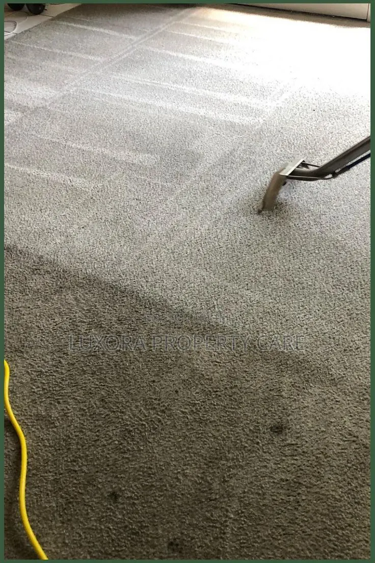Deep Carpet Rug Extraction Cleaning