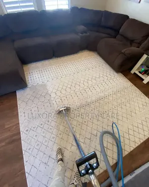 Deep Carpet Rug Extraction Cleaning