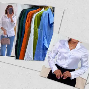Ladies Silk Shirts