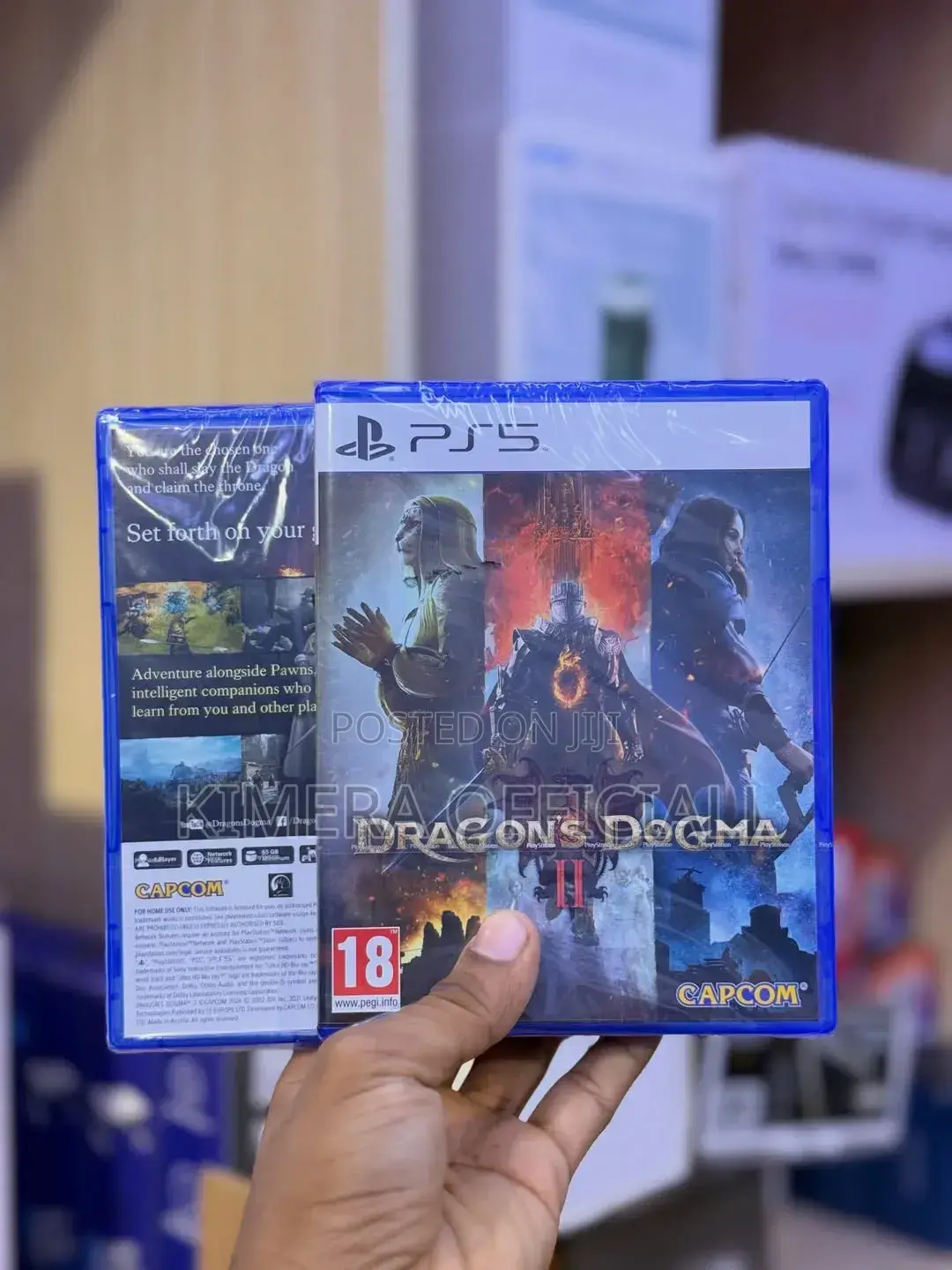 Dragon's Dogma 2