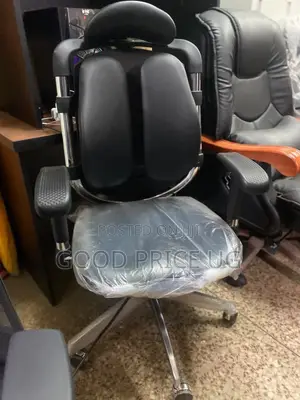An Orthopedic, Dual-Backrest Ergonomic Office Chair