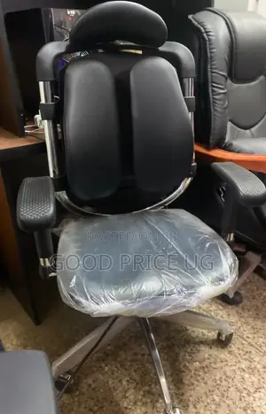 An Orthopedic, Dual-Backrest Ergonomic Office Chair