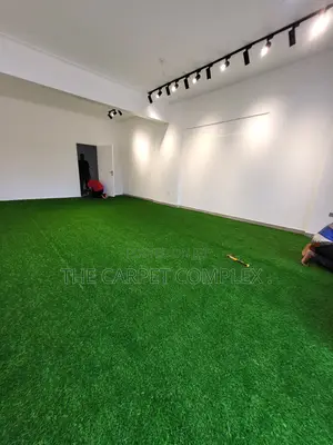 Home Grass Carpets Durable Types Per Squaremeter