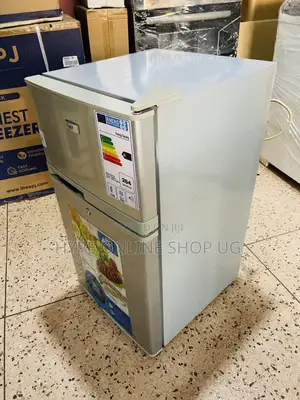 120l Imported Used Fast Cooling Silver Double Door Refrigerator