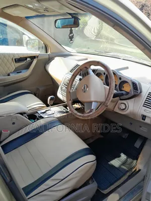 Nissan Murano 2006 Gold