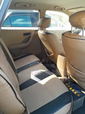 Nissan Murano 2006 Gold