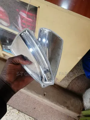 Side Mirror Lights/Indicators