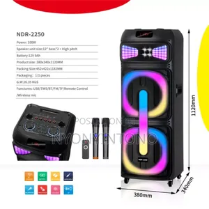 Dw 15"Speaker 8kg Card for Extra Power Remote Controller,2microphones