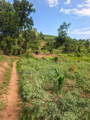 Estate Plot for Sale – Hoima Road
