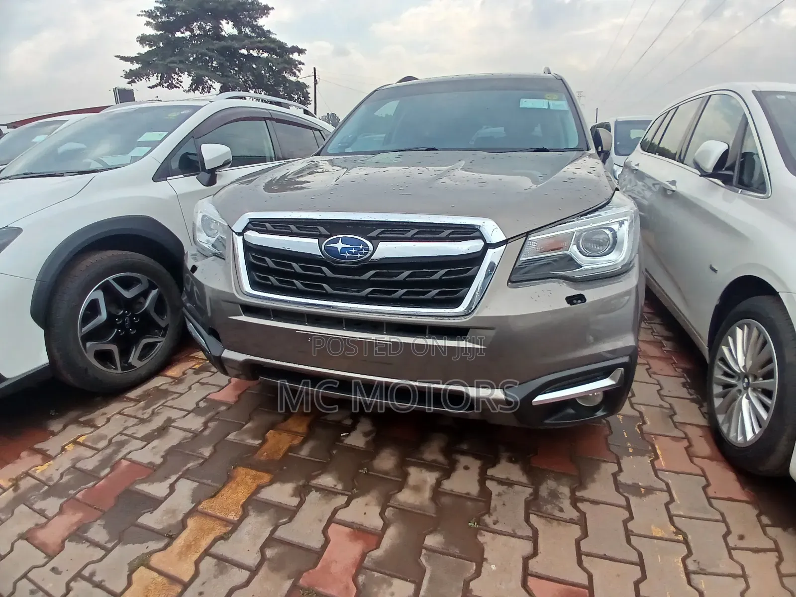 Subaru Forester 2017 Gray