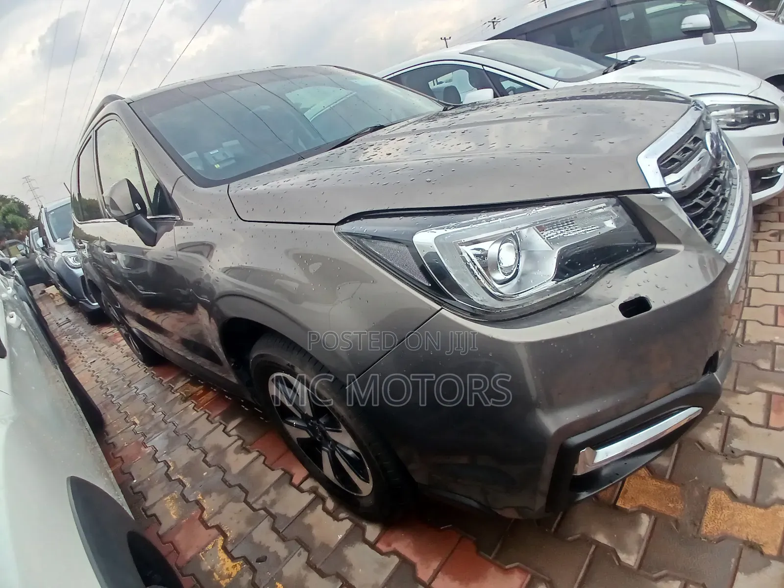 Subaru Forester 2017 Gray