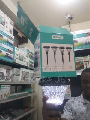 100w Garden Lights
