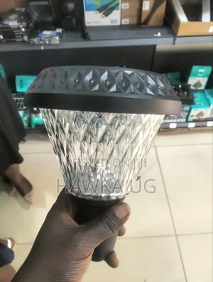 100w Garden Lights