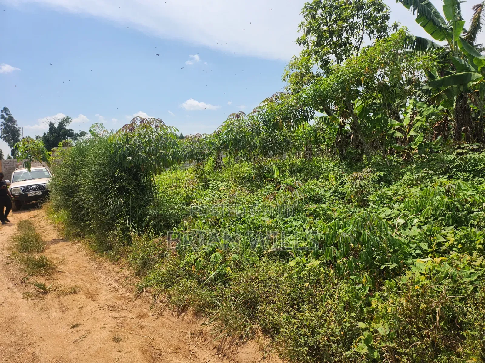 Half an Acre in Bubebere