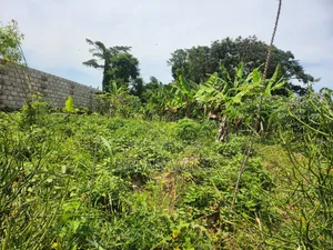 Half an Acre in Bubebere