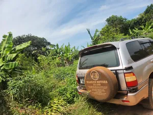 Half an Acre in Bubebere