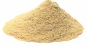 Organic Lemon Powder