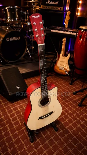 Yamaha Acoustic Professional Guitar