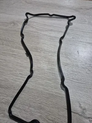 Nissan Seals Gaskets
