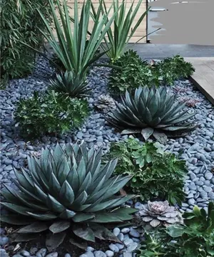 Outdoor Rock Garden Setting