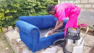 Sofa Set Cleaning Services