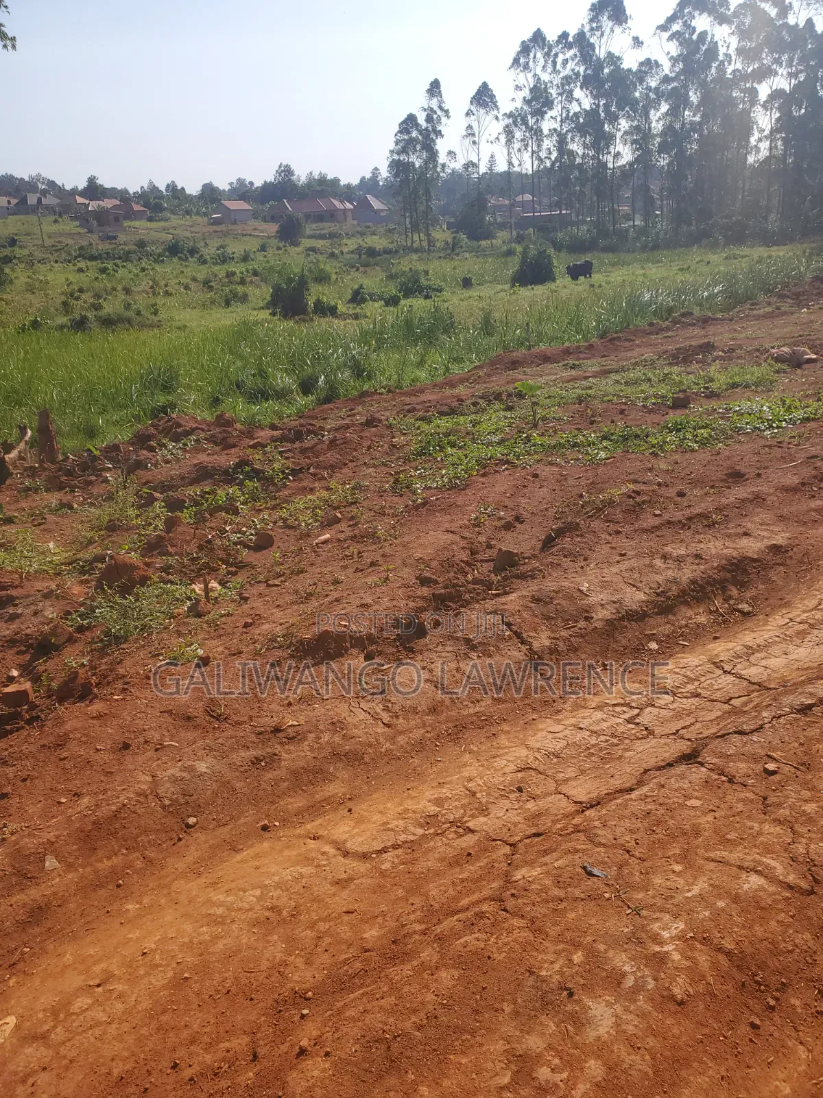 Plot for Sell