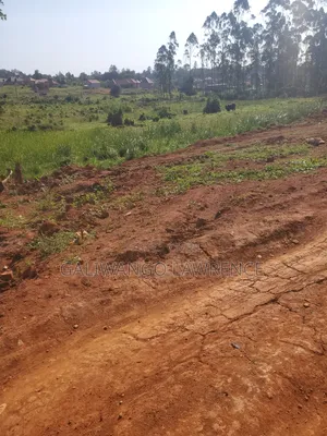 Plot for Sell