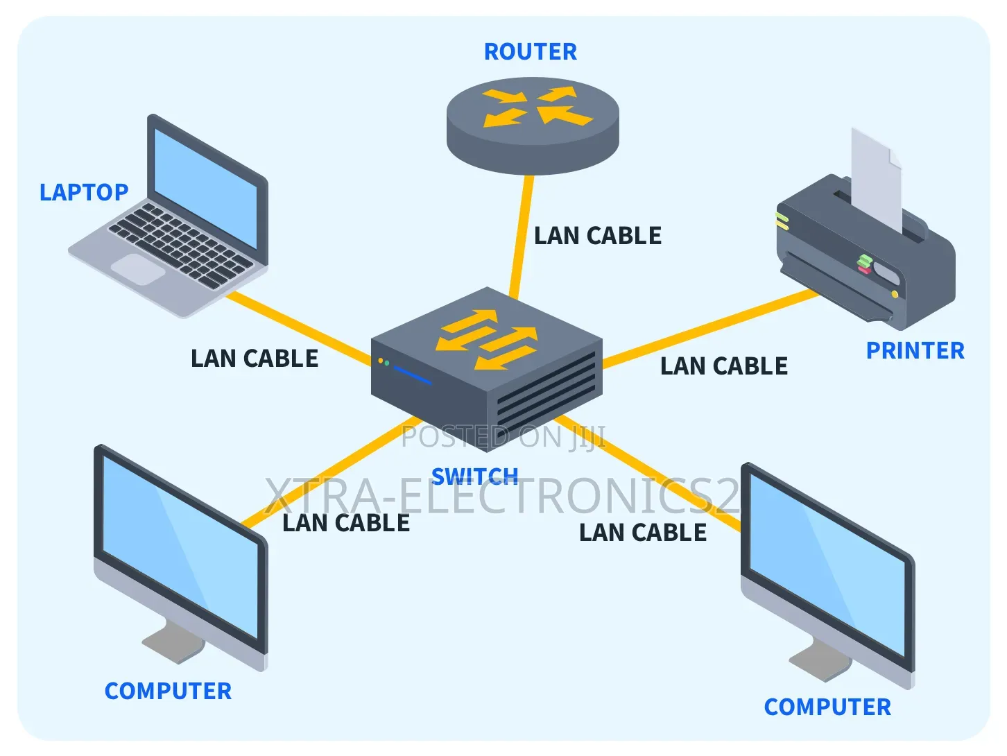 Professional Office Networking Lan Setup Services.