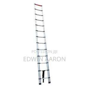 3.2m Aluminium Telescopic Ladder