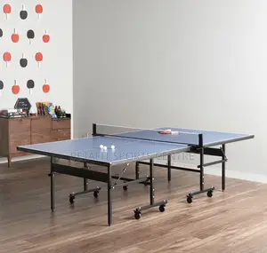 Foldable Indoor Table Tennis Table