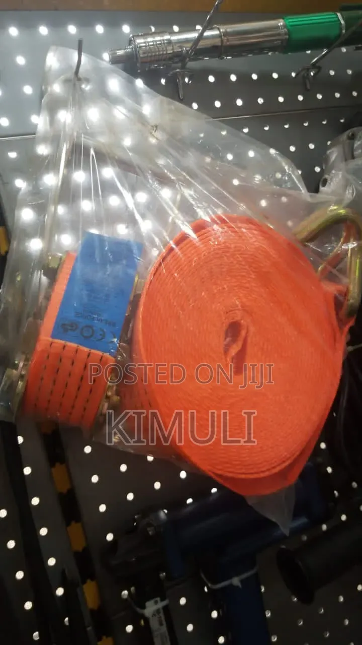 Cargo Belt
