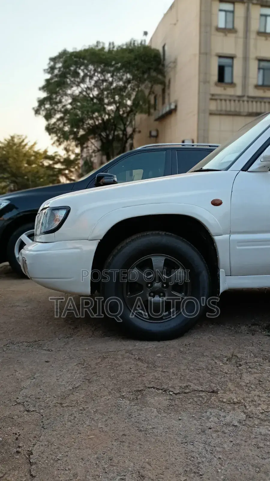Subaru Forester 2005 White