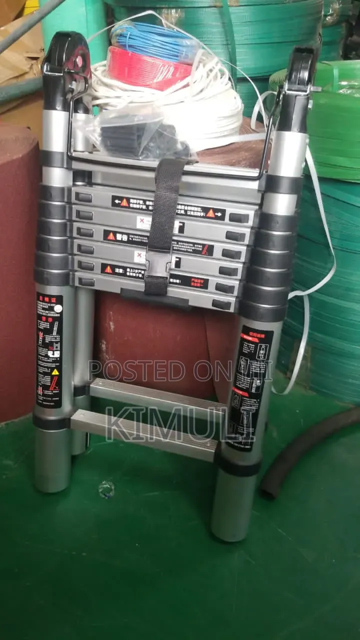 Telescopic Ladder