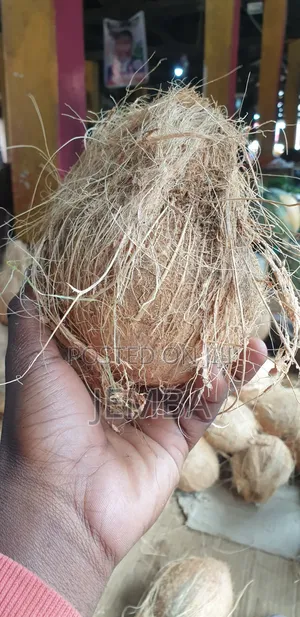 Dry Coconut