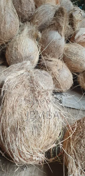 Dry Coconut