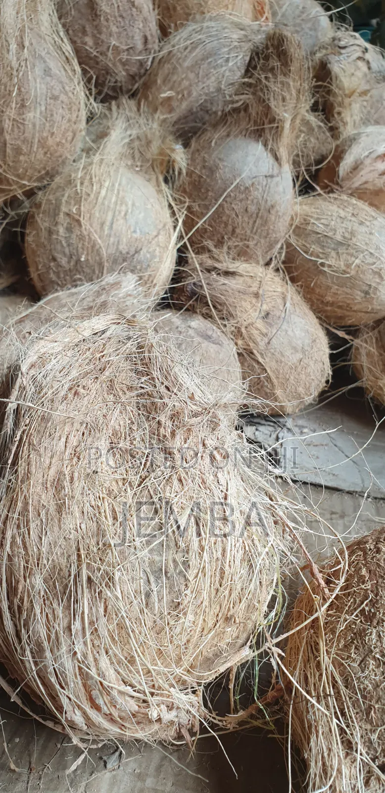 Dry Coconut