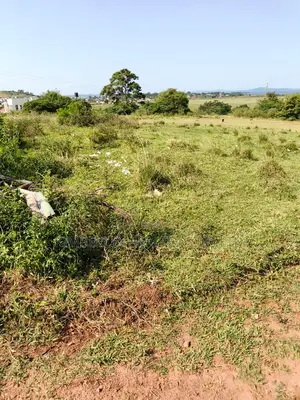 Land for Sale – Busiika Kalanamo