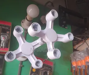 Its Agood Stand for Bulb