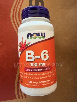 Now Foods B6 100 Mg for Nervous System Support