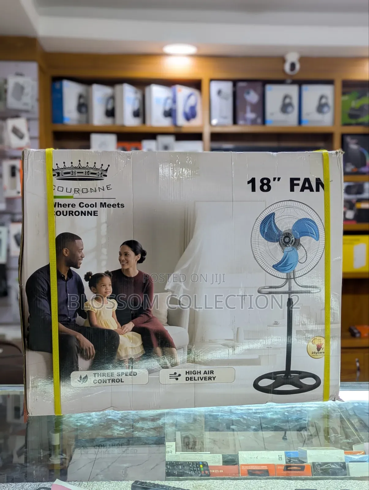 Electric Fan With Stand