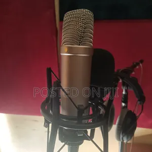 Studio Mic Setup