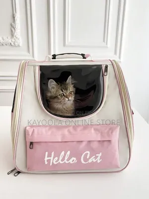 Pet Outdoor Bag Pack