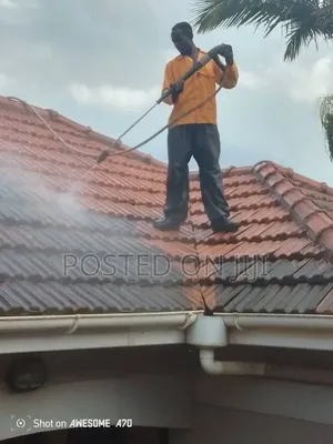 Frankinnocents Cleaning Services