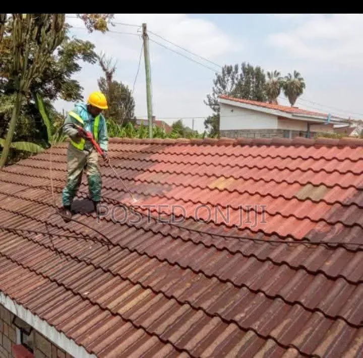Roof Tile Cleaning Services