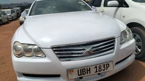 Toyota Mark X 2007 White