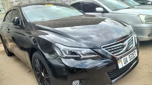 Toyota Mark X 2010 Black