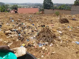 Commercial Plot