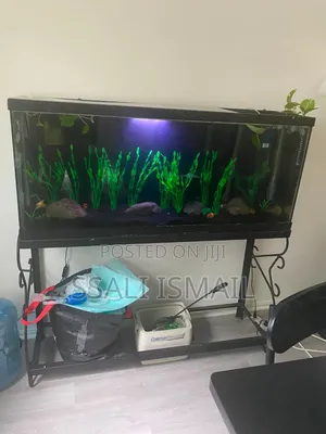 The Unique Mettalic Stand Black Aquarium