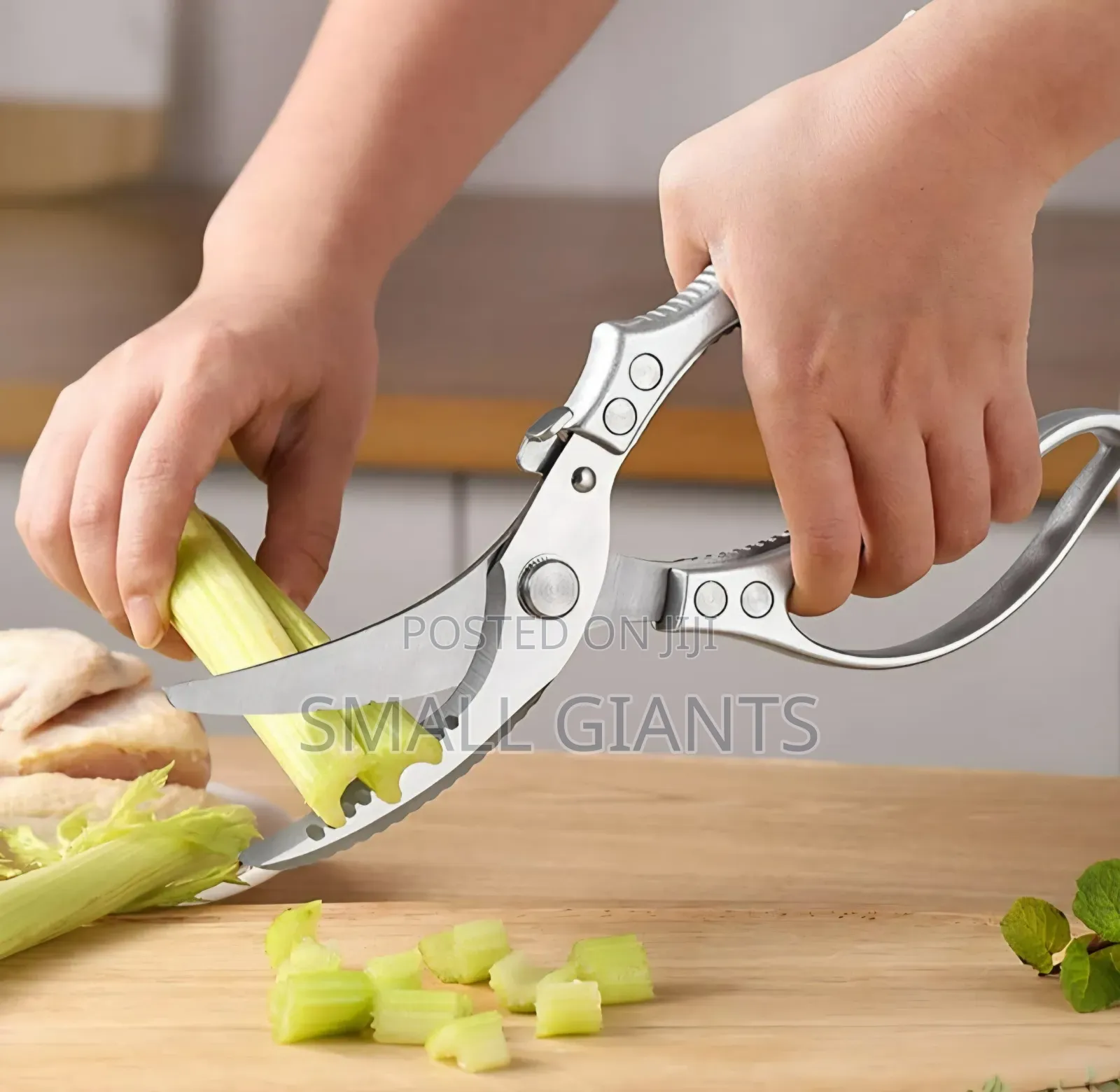Multifunctional Kitchen Shears(Scissors)