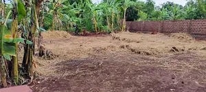 Plot for Sale in Tongolo 3 Acres
